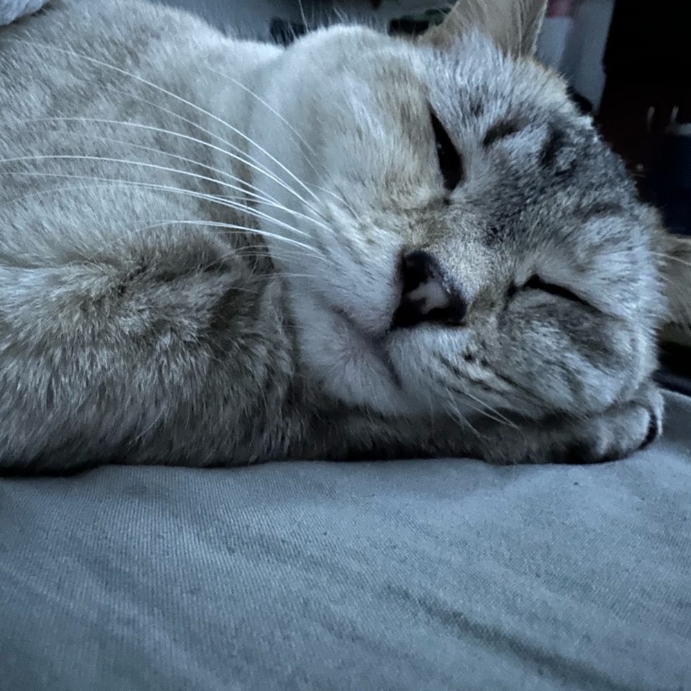 Meet your Posher, Mandee